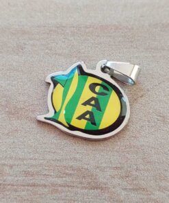 DIJE DE ACERO FÚTBOL CAA CON RESINA. 20 MM