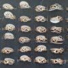 ANILLOS DE ACERO X 36 PACK X 3 (1 ACERO DORADO), (TOTAL 108 ANILLOS) CORAZÓN CALADO SURTIDOS EN MEDIDAS. (MEDIDAS DEL 16 AL 20)