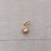 DIJE DE ACERO DORADO SUSANITO STRASS BLANCO 5 MM