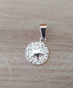 DIJE DE ACERO BLANCO MEDALLA 15 MM CON ESTRELLA EN RELIEVE PULIDA EN EL CENTRO.