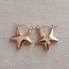 ARO DE ACERO DORADO ARGOLLA HUECA CON FORMA DE ESTRELLA. TAMAÑO 20 X 18 MM