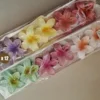broche flor hawaiana moda