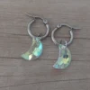 Aro argolla de acero con luna tornasol colgante