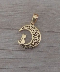 dije de acero dorado luna con gato