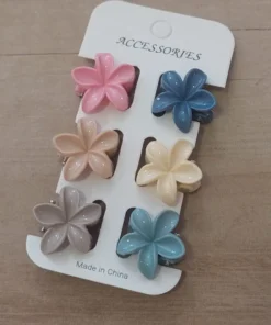 Broches de pelo surtidos en colores