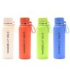Botella termica con tapa y agarre 750 ml x1u.