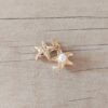 DIJE DE ACERO DORADO DOBLE ESTRELLA DE MAR CON PERLA. TAMAÑO 10 MM