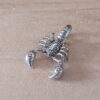 DIJE DE ACERO ESCORPION. TAMAÑO 22 X 30 MM