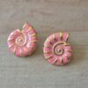 ARO DE ACERO DORADO CARACOL ESMALTADO ROSA. TAMAÑO 24 X 26 MM