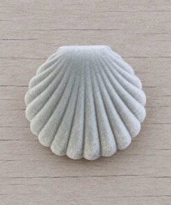 ESTUCHE OSTRA 5.8*5.2*2.9 CM PANA GRIS - Imagen 2