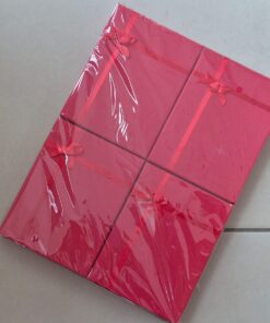 ESTUCHE PARA CONJUNTO 12 X 16 CM COLOR BORDO. PACK X 4 UNIDADES - Imagen 2